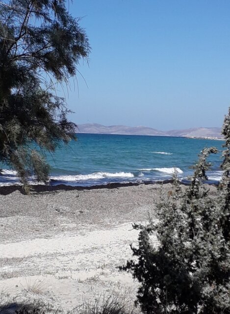 20210928_202047.jpg - Nuteczek101