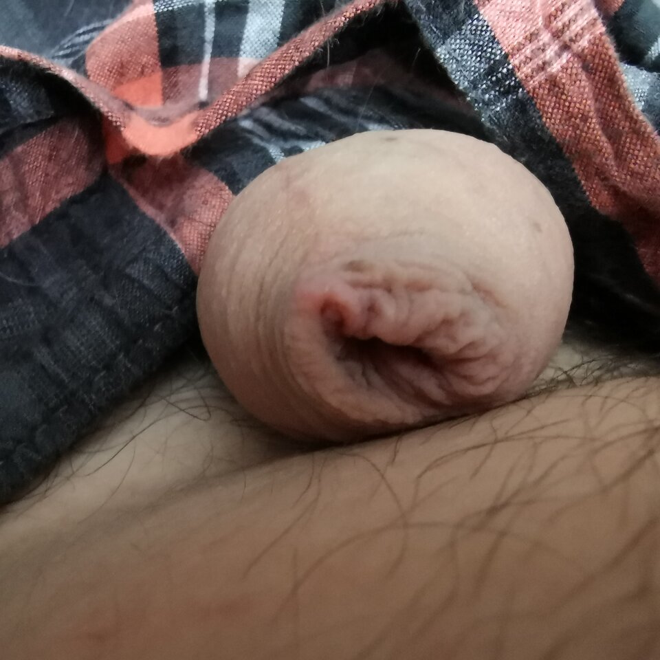 IMG_20210929_082759.jpg - Zi0001