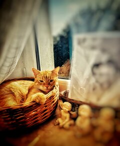 RudeLove 😻😻😻😻