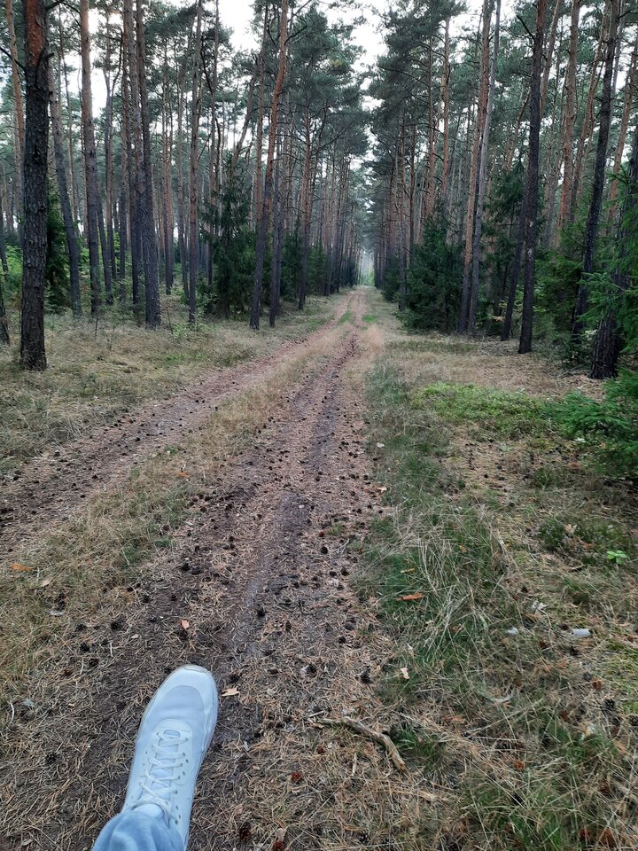 20210929_161438.jpg - Robertoo19899