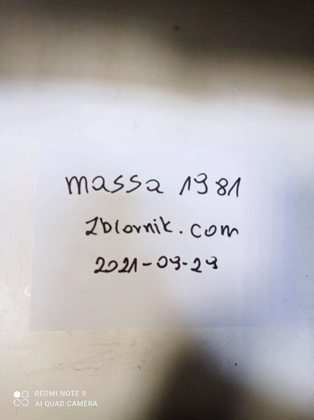 massa1981
