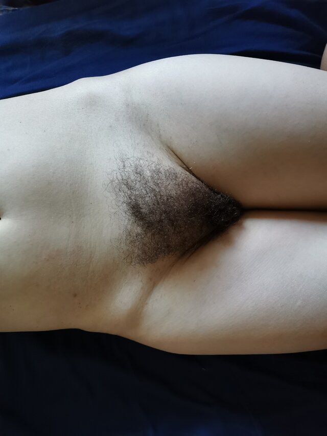 Ted533