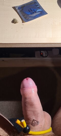 ptaszek na uwięzi.jpg