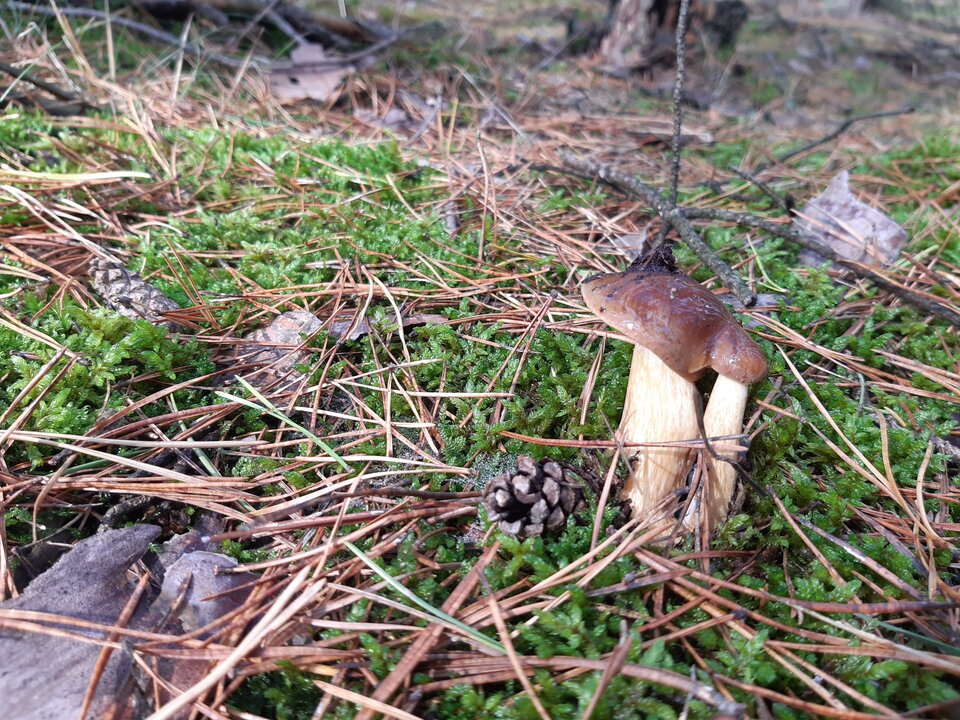 20210929_112433.jpg - torii99