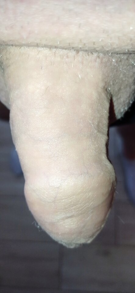 IMG_20210930_142732.jpg - dupekalex