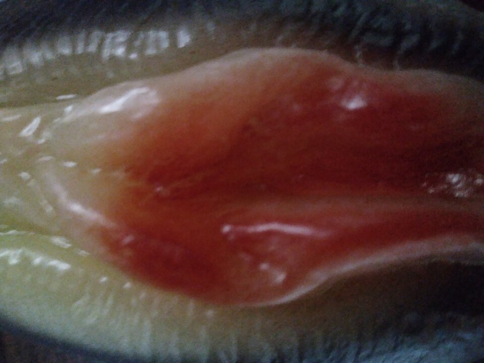 20210930_134159.jpg - Mistrz123456