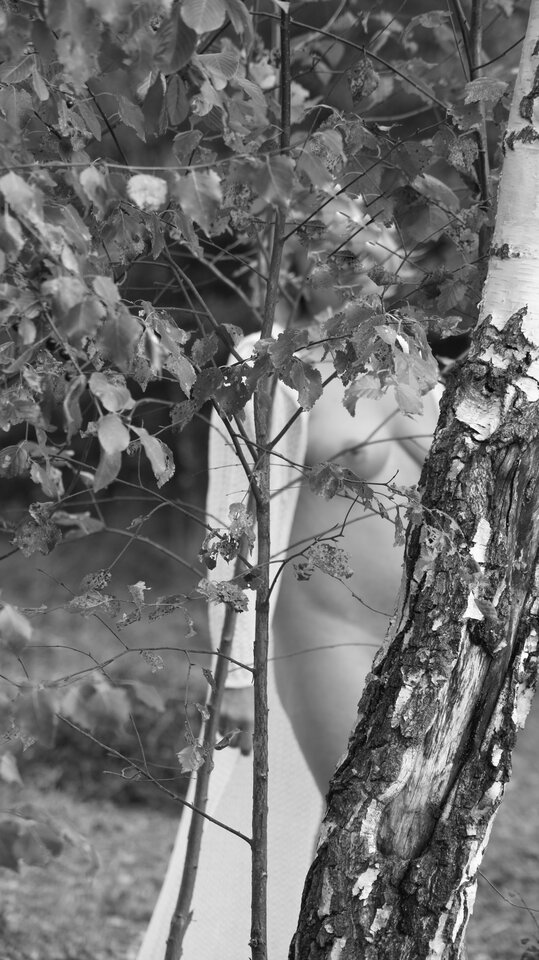 DSC05093-01.jpeg - MiMoPara