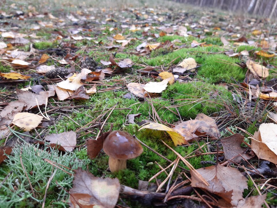20210929_105744.jpg - torii99