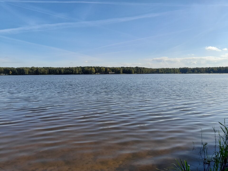 20211001_140020.jpg - Ambrozja2