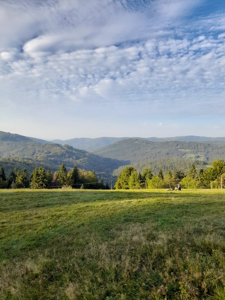 20210926_170825.jpg - Ambrozja2