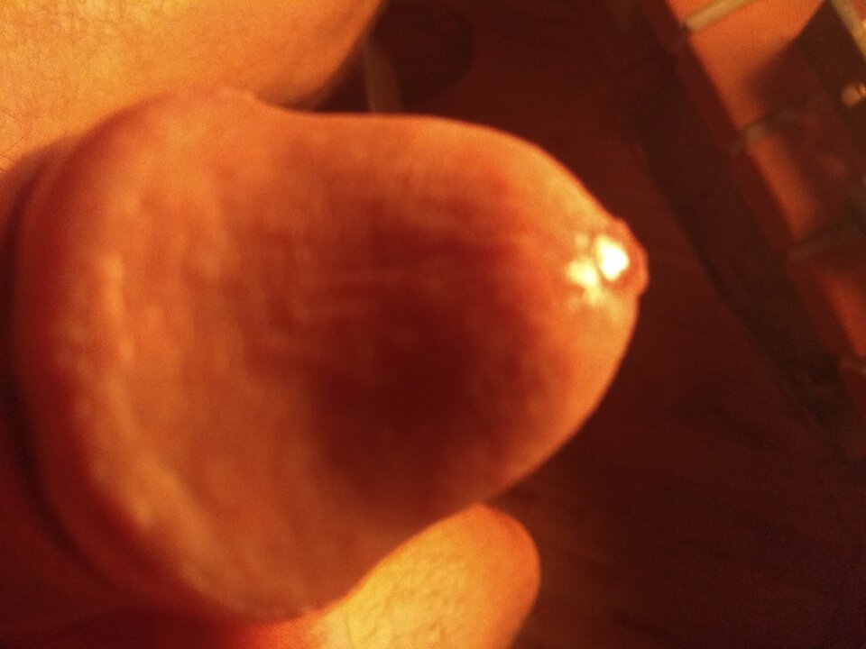 IMG_20211001_210359748.jpg - bubus74