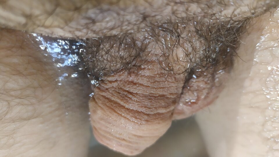 16331554411256490394392264378737.jpg - matuzalem000