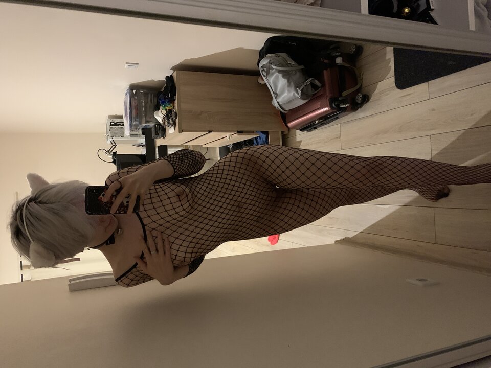 image.jpg - ThiccKitty