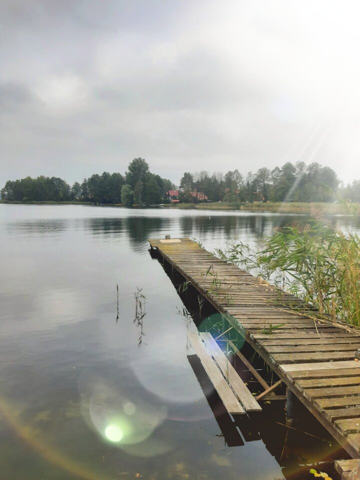 20211002_131928.jpg - dino8