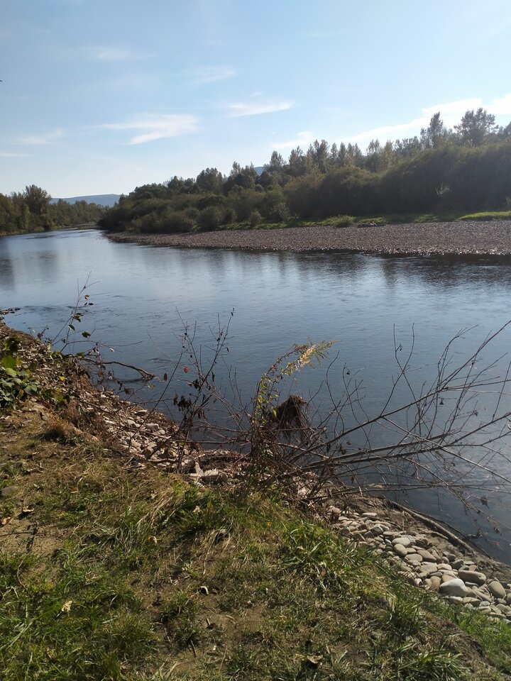 IMG20211003144637.jpg - maniana35