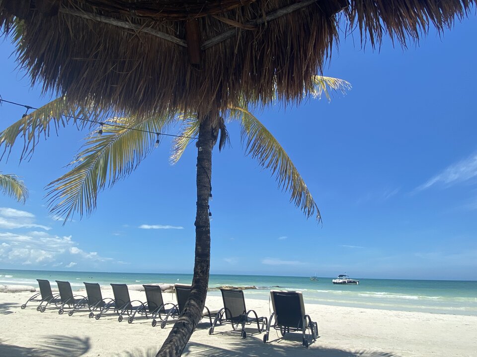 730256E8-459A-4A75-843E-E4ADE4115B02.jpeg - Przemek2gd