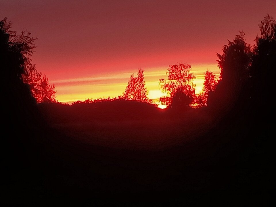 IMG20211004183859.jpg - blackhorseszcz