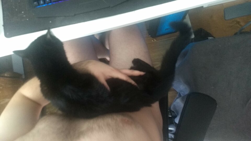 IMG_20200628_110255816.jpg - Erlich