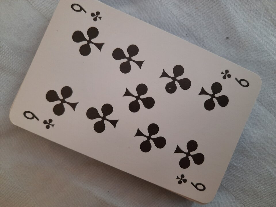 20210727_131316.jpg - Nickt15