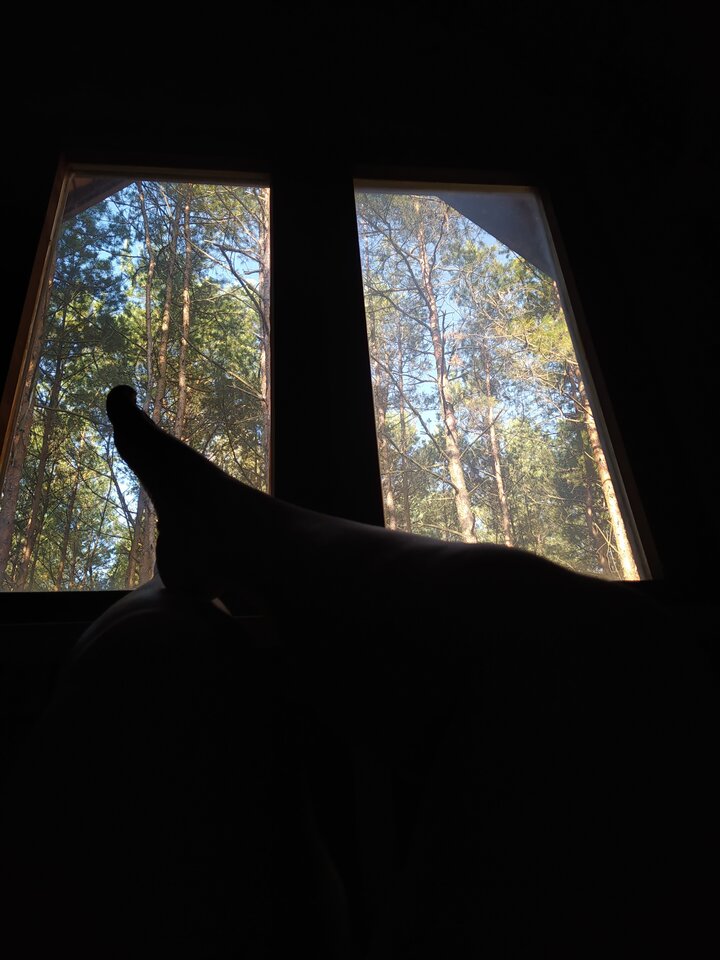 Piękno natury - Jagra_duet