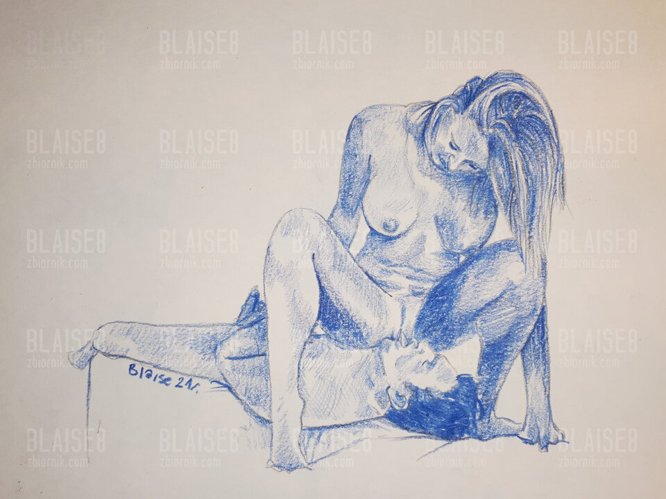 Art. No. 105 - blaise8