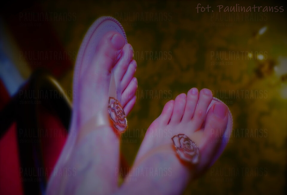 DSCF5421.JPG - paulinatranss