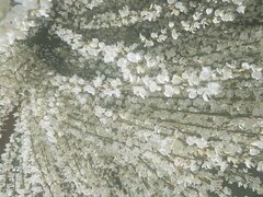 20210514_103813.jpg