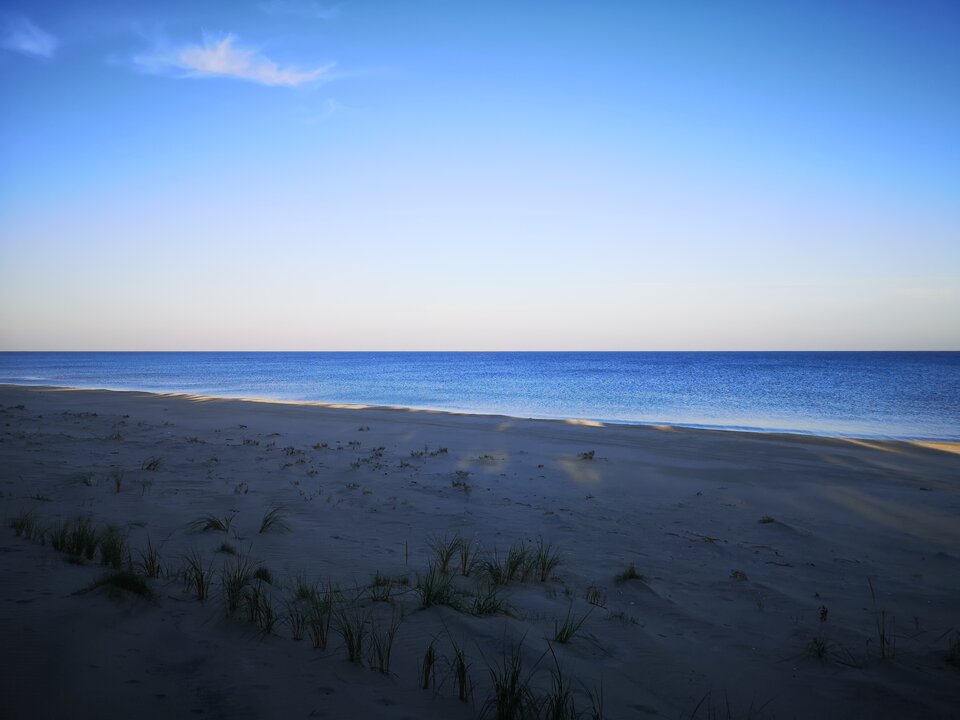 IMG_20211008_081759.jpg - crivakris4443