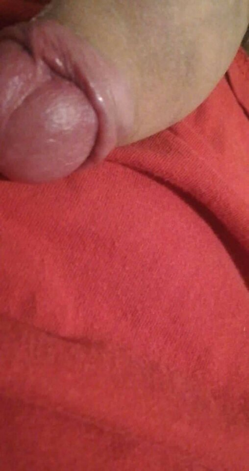 received_380552337135937.jpeg - NapalonyMisiuu21