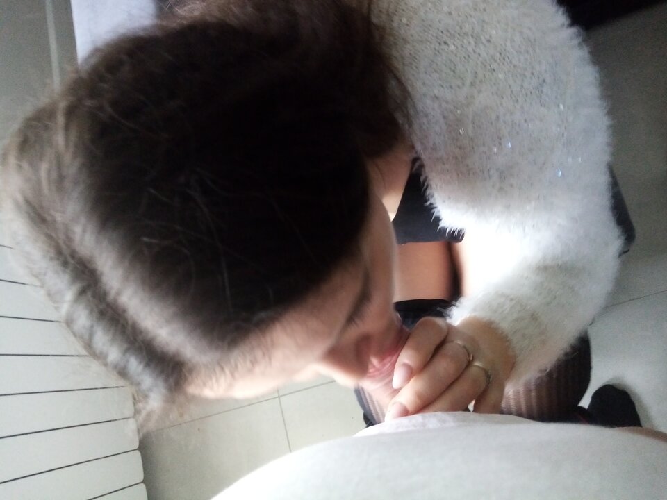 IMG_20210214_142522.jpg - gatitos