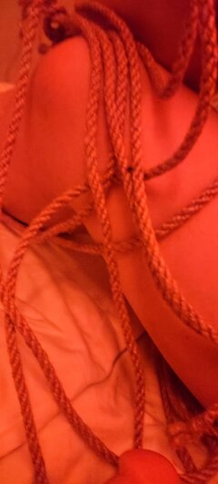 Żeglarstwo lądowe ⛵😉