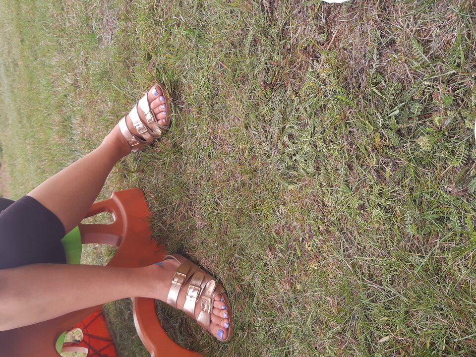 IMG_20210927_170456709.jpg - HASKI1