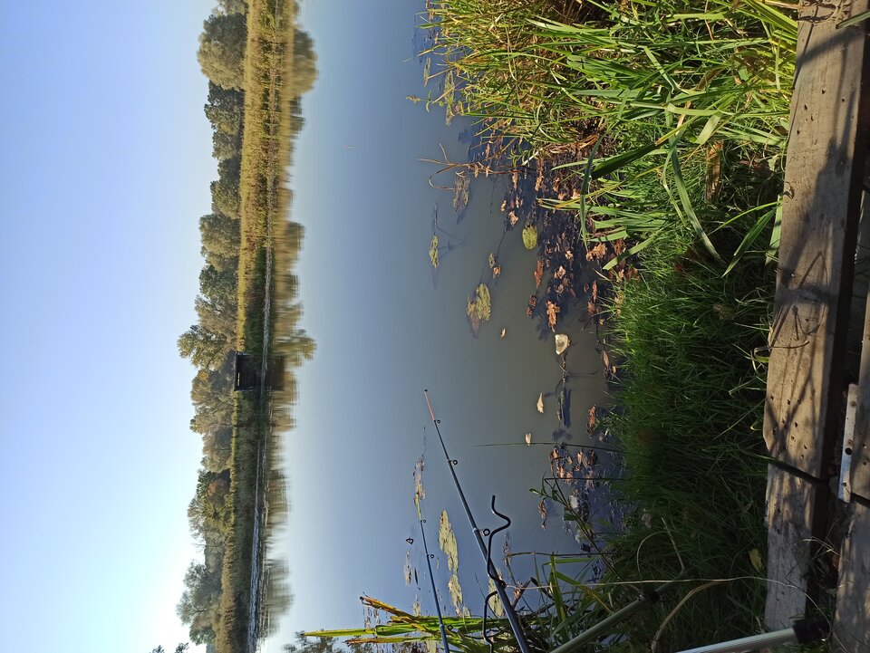 1633766050304962252787237621796.jpg - Adamus258