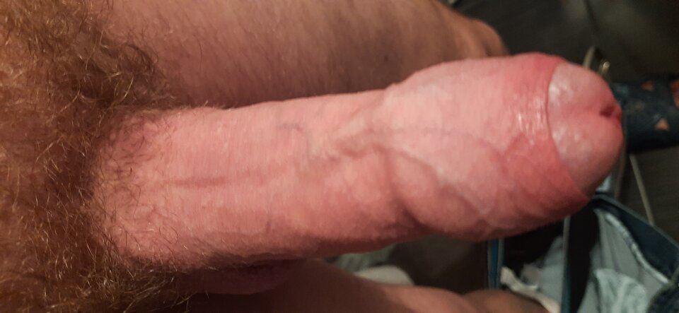 16337861694074132239266299299239.jpg - dojrzaly1971