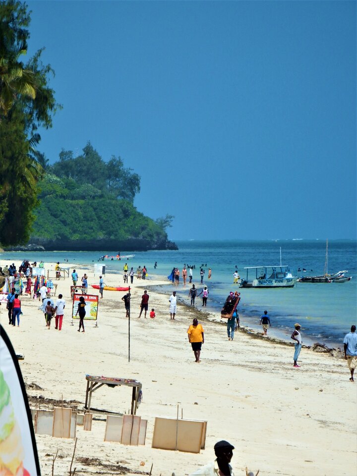 DSCF5161.JPG - BzykamySie