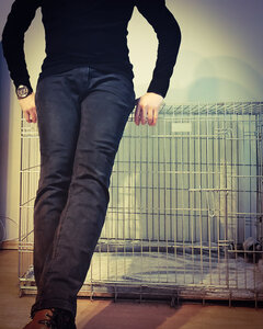 Zapraszam na tresurę