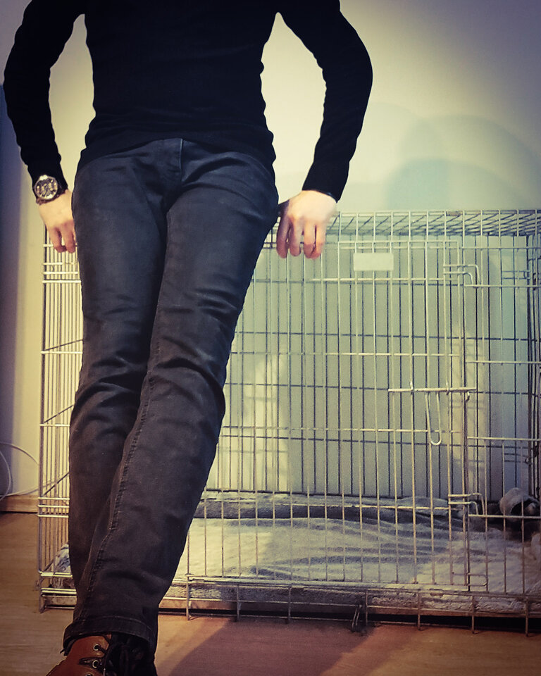 Zapraszam na tresurę - Okultysta89