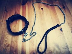 Zapraszam na tresurę