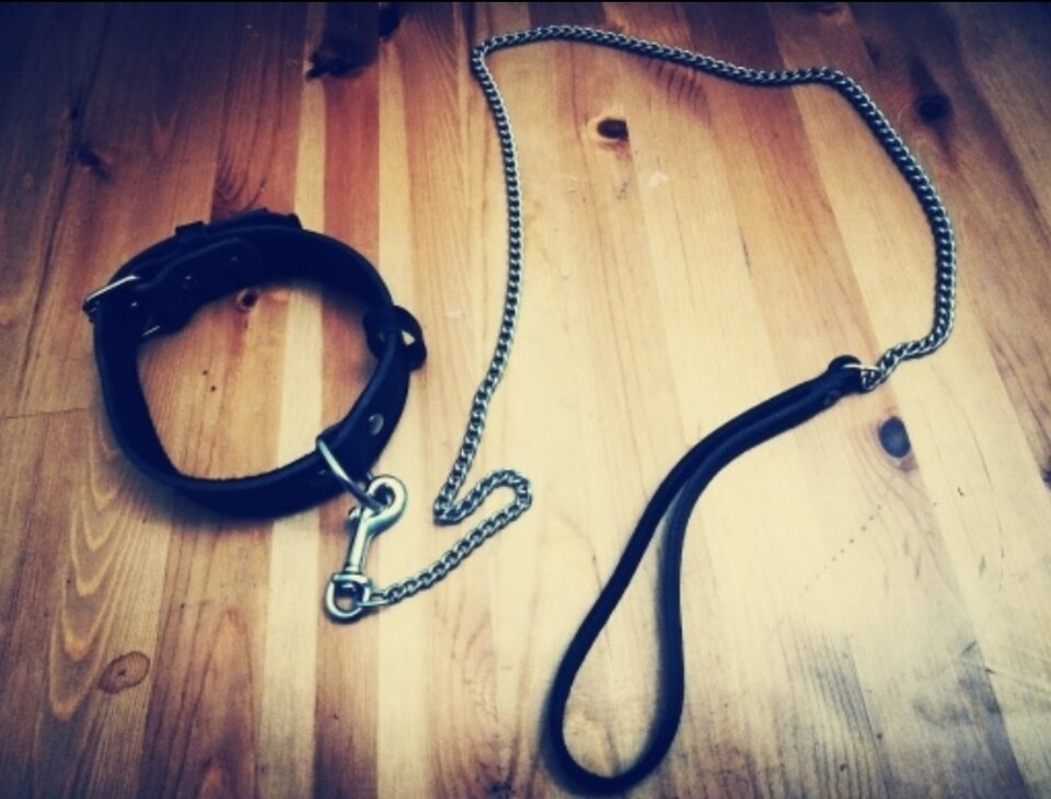 Zapraszam na tresurę - Okultysta89