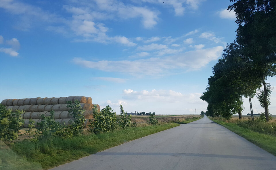 20210818_182324.jpg - 3oB