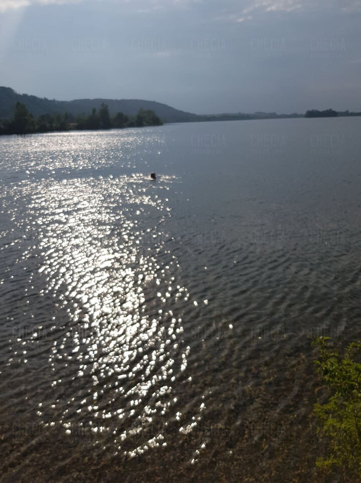 65058486_340872666582329_5991065360252534784_n.jpg - checia