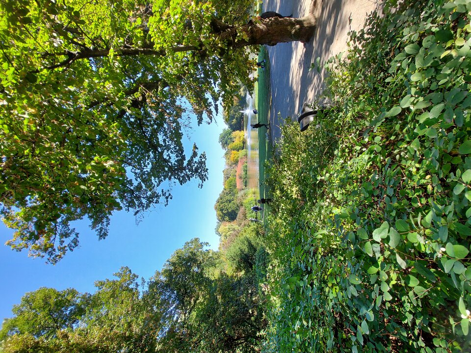 20211010_125259.jpg - A7REPPU