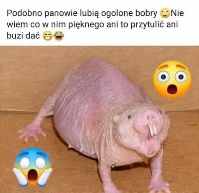 received_344089353947750.jpeg - eroSexDreamTorun35