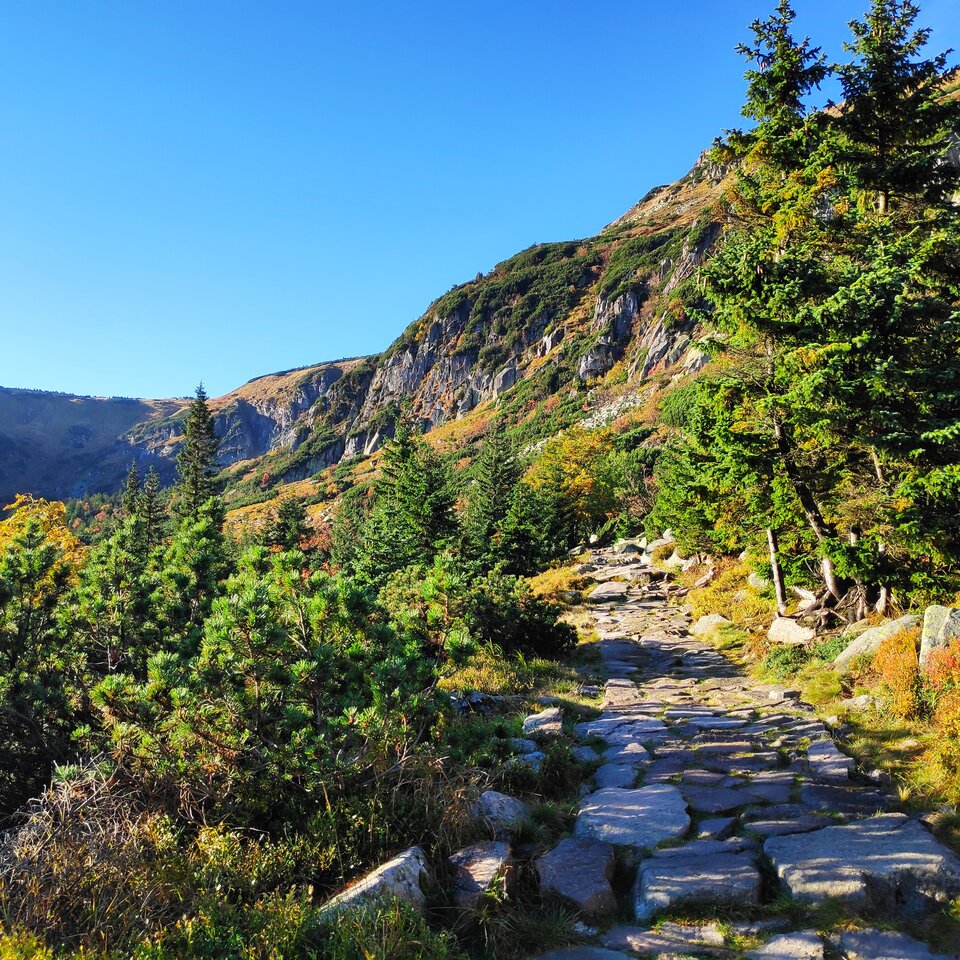 1633952127512.jpg - rainbow82