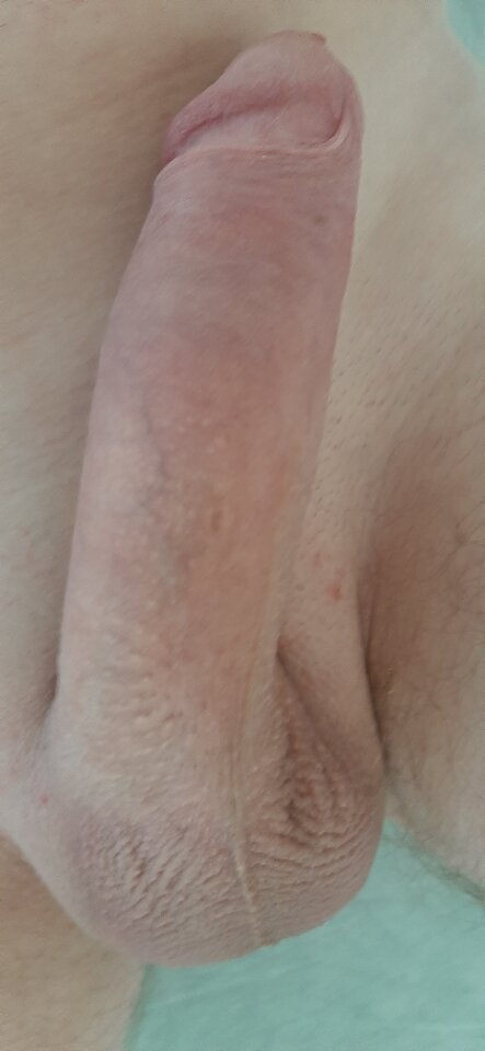 20211011_152222.jpg - holender75