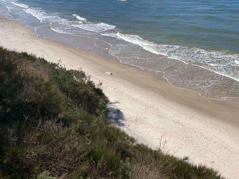 FB_IMG_16337898992361040.jpg - niewyzyta_suka