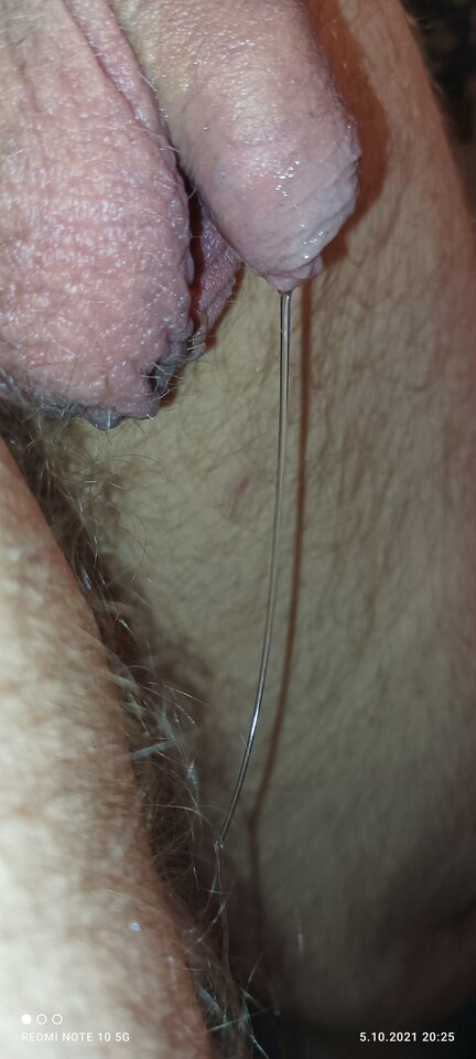 IMG_20211010_155820.jpg - Tomek698107