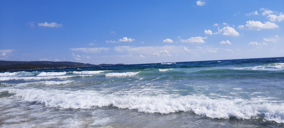 20200817_104528.jpg - Yaro1980