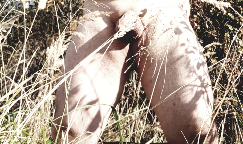 Ostatnie promienie lata ktoś chętny na spacer - Lubiejak81