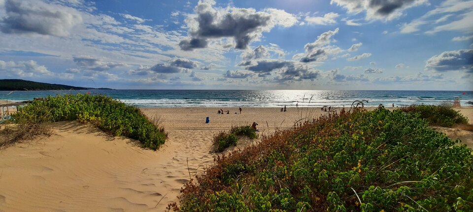 20200816_090707.jpg - Yaro1980